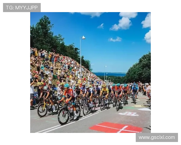 trek环法自行车赛（环法自行车挑战赛）sports